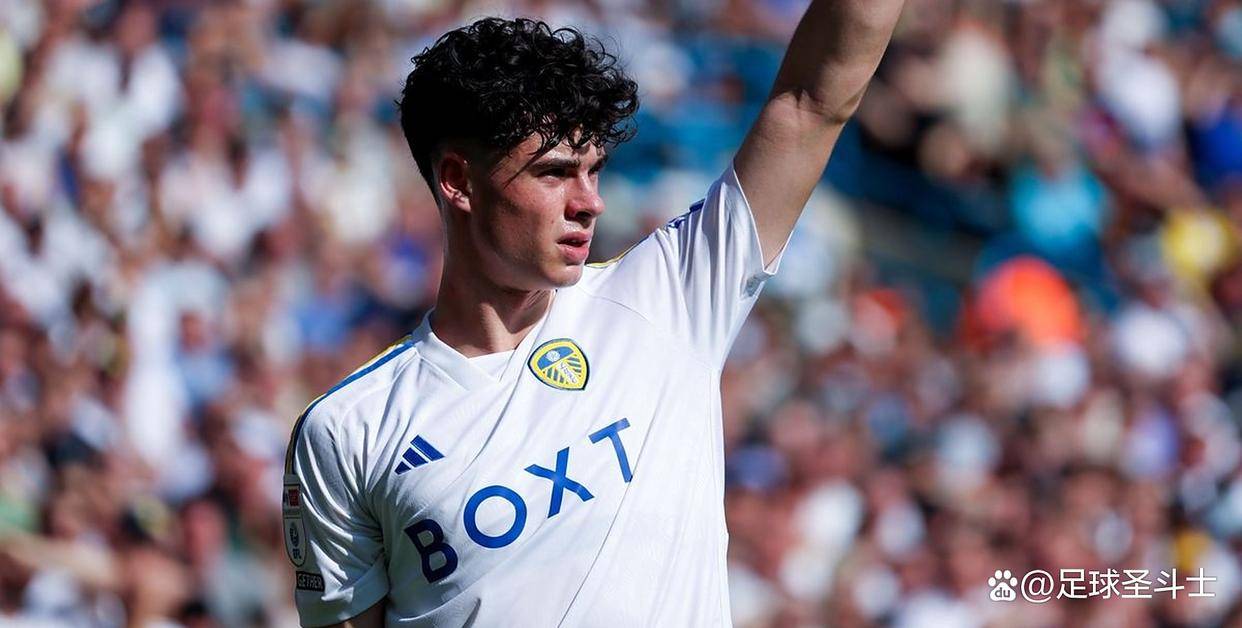 利记平台-利兹联后卫遭受罚牌，球队或受制裁